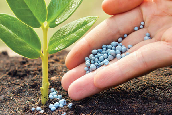 Empresas angolanas investem cerca de 2,2 mil milhões de dólares em complexo de produção de fertilizantes