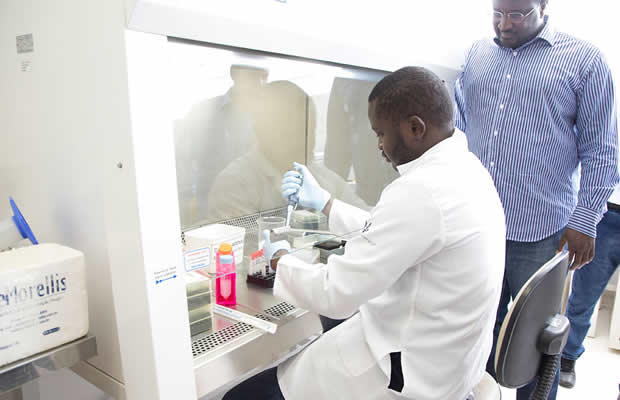 Falta de laboratório de controlo impede registo de medicamentos em Angola - regulador